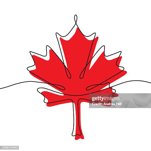 buy canadian design, red maple leaf single line drawing - maple tree canada stock illustrations