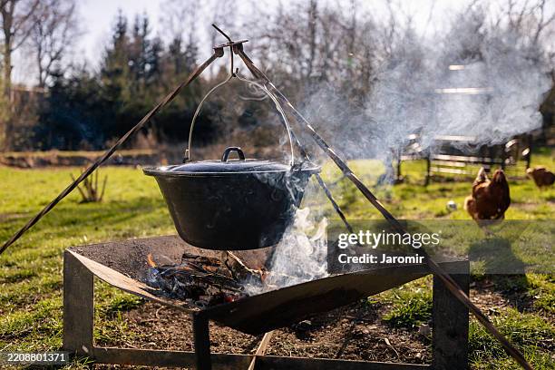 preparing food on campfire at sunset - cauldron stock pictures, royalty-free photos & images