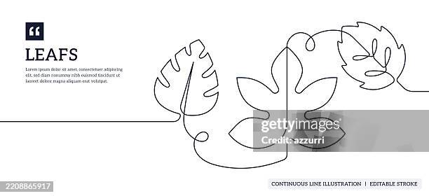 leafs continuous line illustration - monstera leaf stock illustrations