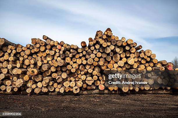 Wood for processing is stacked at the C.A. Spencer sawmill on April 10, 2025 in Lachute, Canada. Canadian lumber producers face an uncertain business...