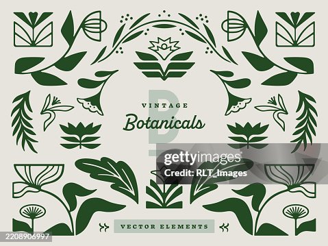Vintage Inspired Botanical Vector Elements Vintage Inspired Botanical Vector Elements