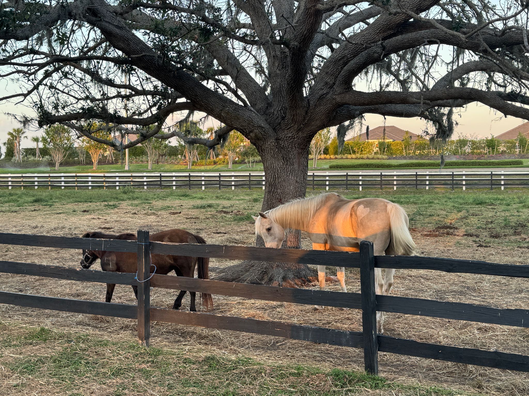 florida farmland