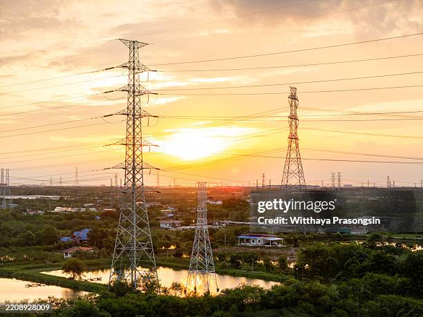 electricity pylons in scenic countryside during golden sunset hour - poste de madera fotografías e imágenes de stock