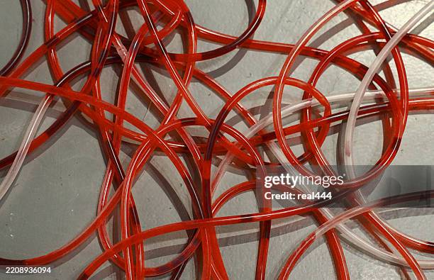 o líquido vermelho flui através do tubo transparente. - tubo equipamento de laboratório - fotografias e filmes do acervo