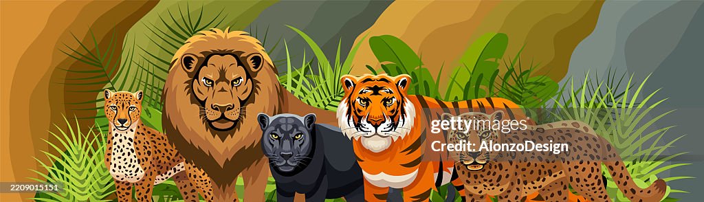 Large Carnivorous Mammals - Horizontal Banner.