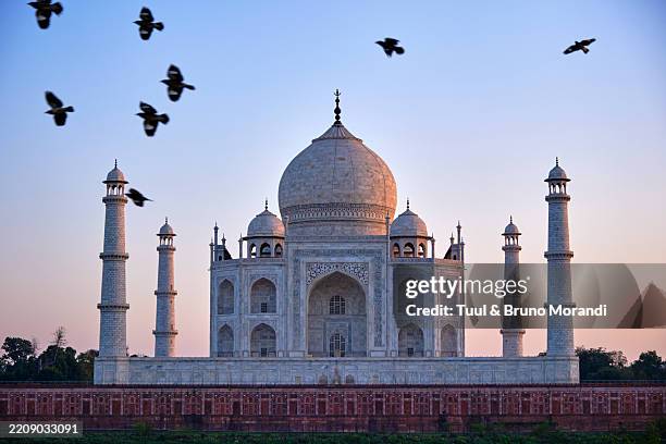india, uttar pradesh state, agra, the taj mahal, unesco world heritage - tadsch mahal stock-fotos und bilder