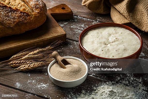 close up of a bowl filled with granulated yeast. fermenting sourdough for bread preparation - yeast stock pictures, royalty-free photos & images