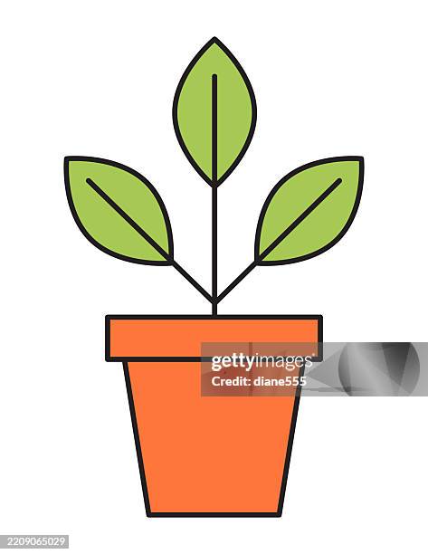 line art seedling plant in a clay pot - clay pot stock illustrations