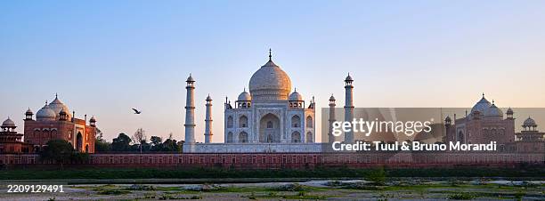 india, uttar pradesh state, agra, sunset on the taj mahal, unesco world heritage - taj mahal photos et images de collection