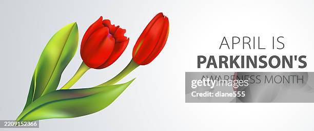 parkinson's awareness month web banner with a realistic red tulip - parkinsons disease stock illustrations