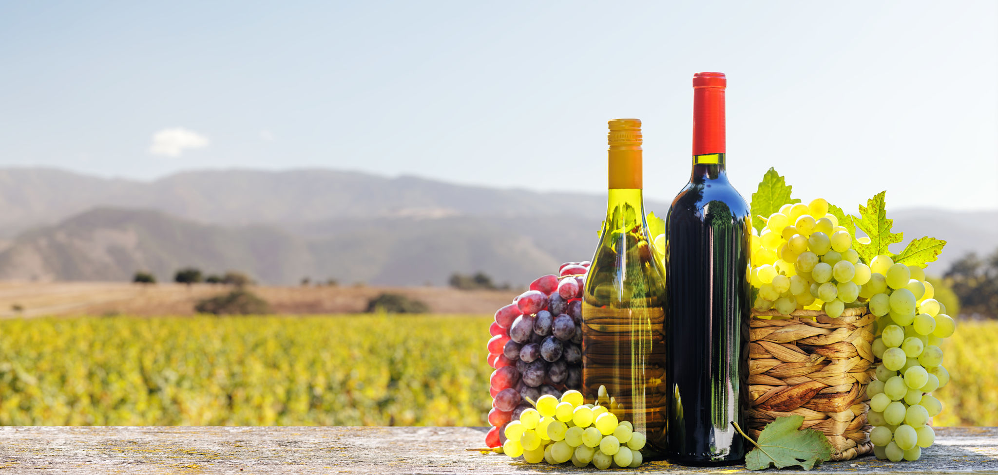 fall wine tasting