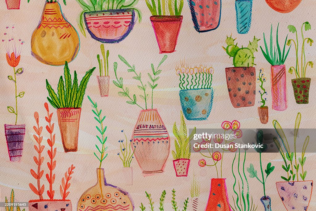 Houseplant