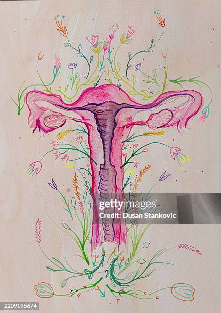 reproductive system and flower - flower ovary stock illustrations