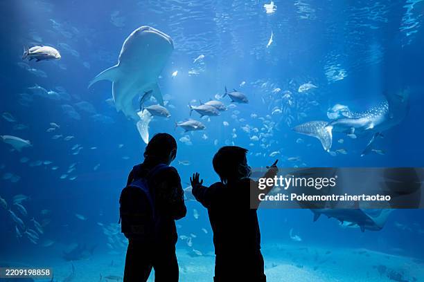 kids in aquarium - aquarium stockfoto's en -beelden