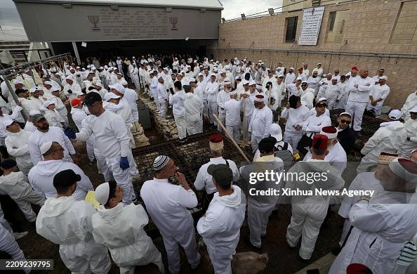 Sect Photo Example Members of the Samaritan sect participate in the traditional Passover ...