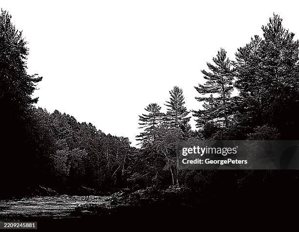 pine trees and river - forest path stock illustrations