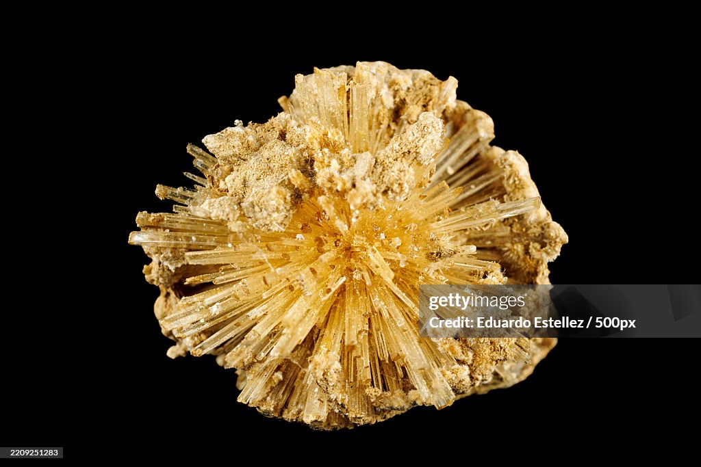 Close-up of raw pasta against black background