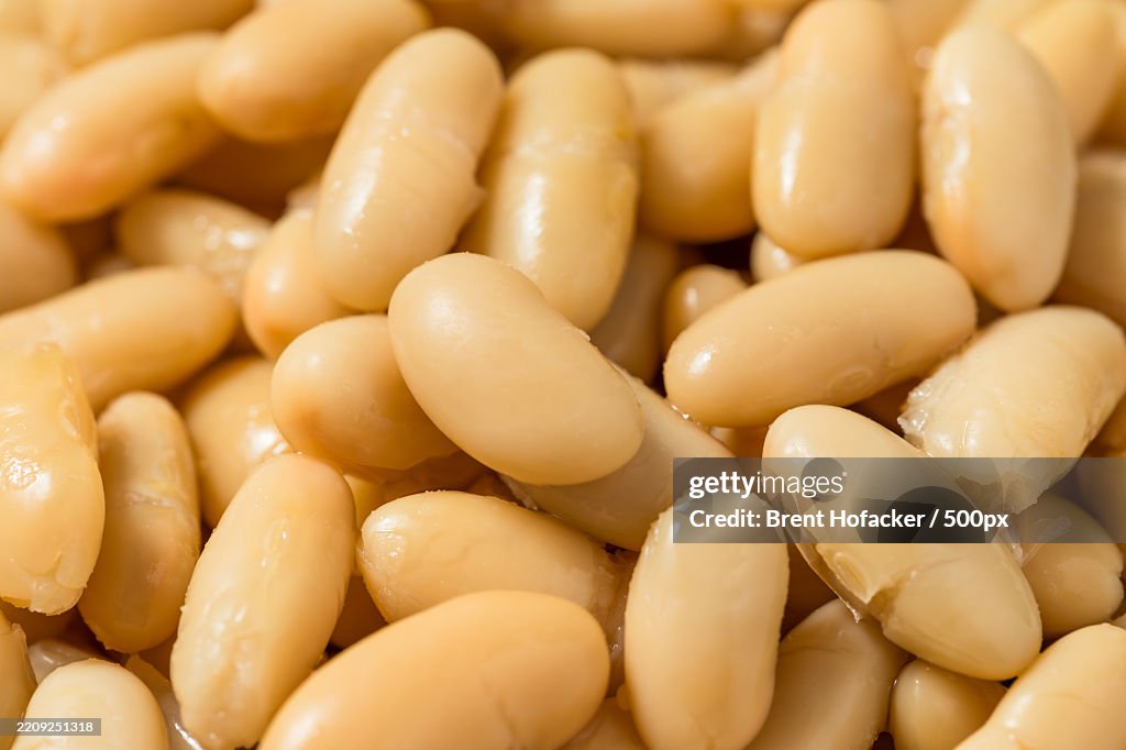 Close-up of soybeans,United States,USA