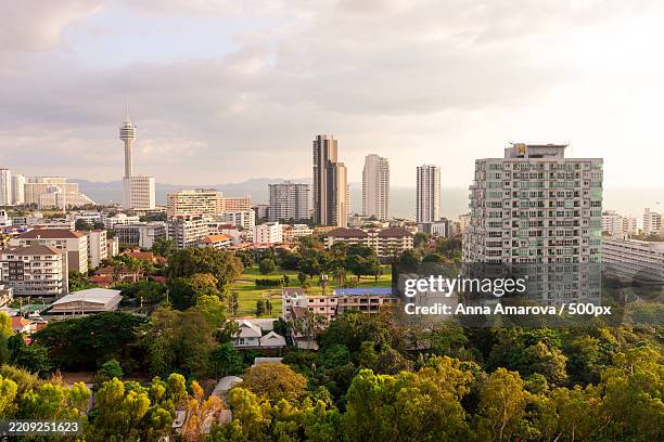 trees and buildings in city against sky - anna maxim stock pictures, royalty-free photos & images