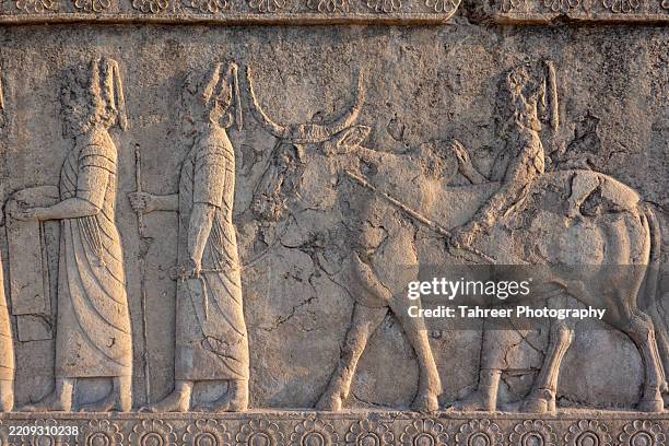 the ruins of persepolis, shiraz, iran - empire stock pictures, royalty-free photos & images