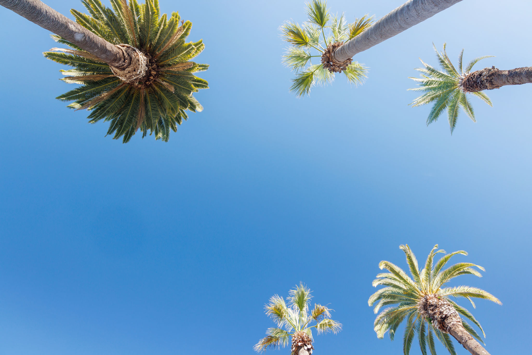 palm springs weather