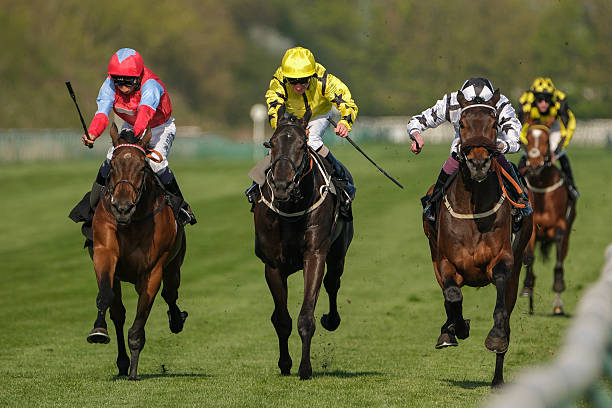 News, Sports, Entertainment Photos, Celebrity Photos - Getty Images