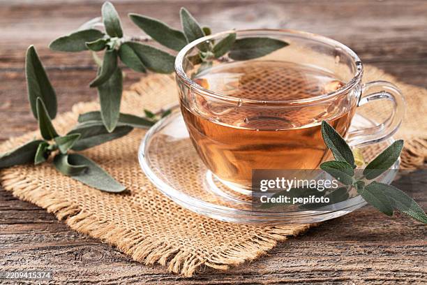 taza de vidrio de té de hierbas de salvia con hojas de salvia - salvia fotografías e imágenes de stock