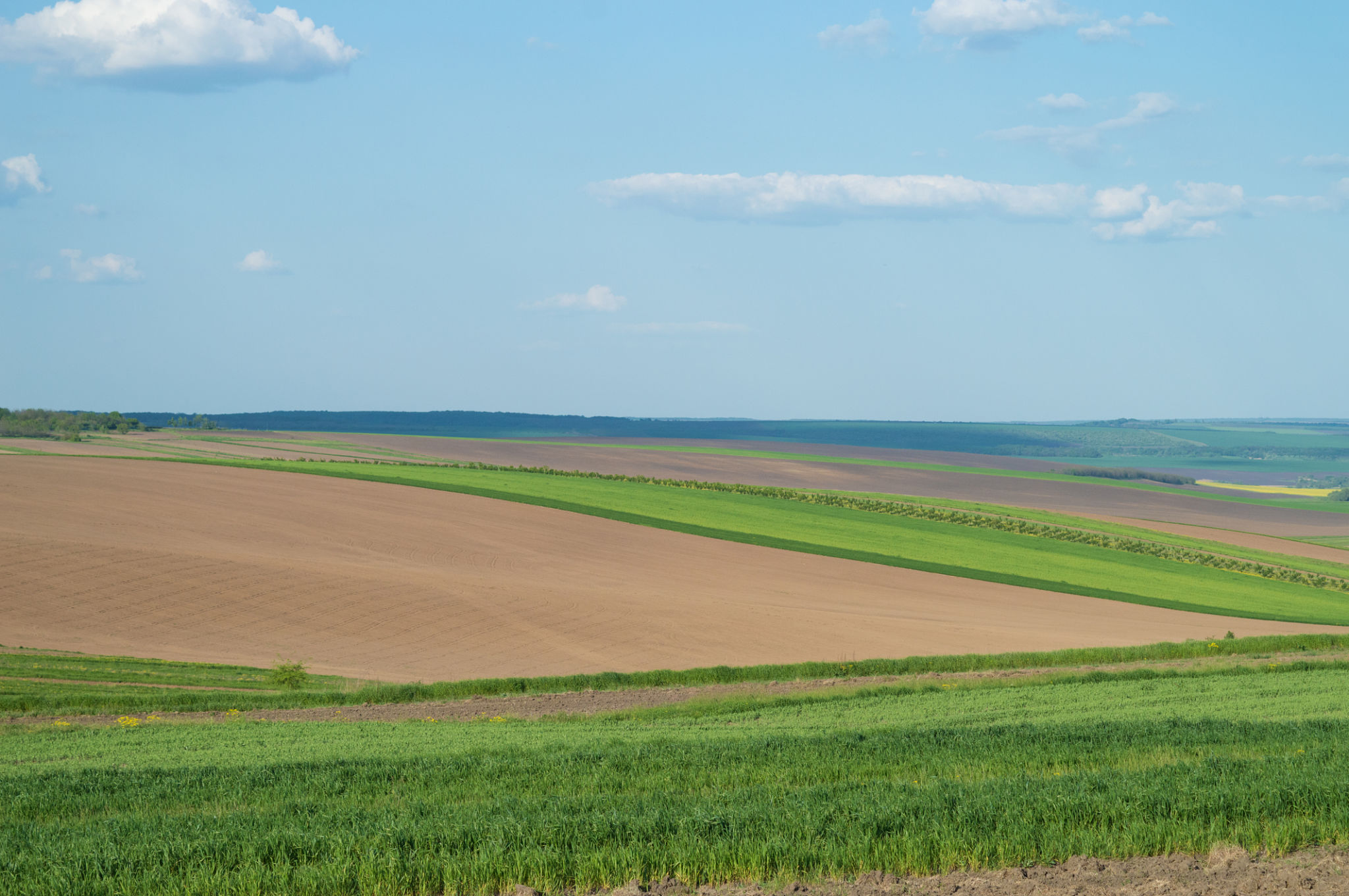 land plot selection