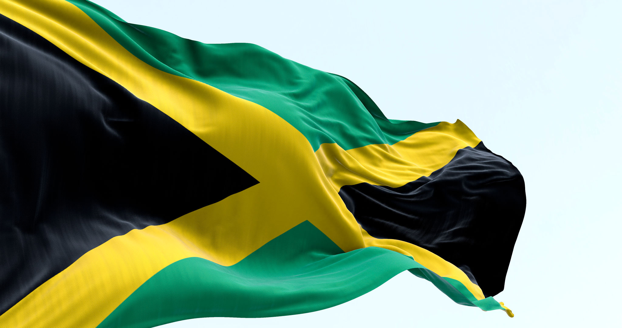 tech startup Jamaica