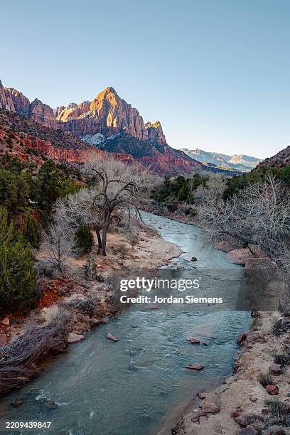 scenic view of a turquoise river in zion - virgin river stock pictures, royalty-free photos & images