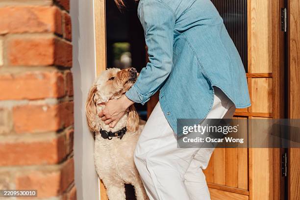 cropped shot of young woman leaving home with her dog and ready for a walk - greeting stock pictures, royalty-free photos & images