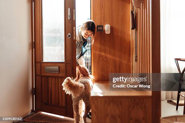 young asian woman arriving home and greeted by her dog - welcome home photos et images de collection