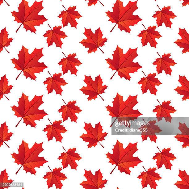 11 Red Maple Leaf White Background High Res Illustrations - Getty Images