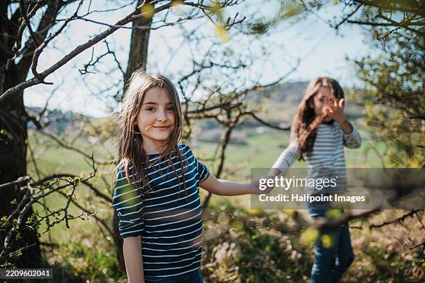sisters walking among trees, spending time in spring nature. - freizeitaktivität im freien stock-fotos und bilder
