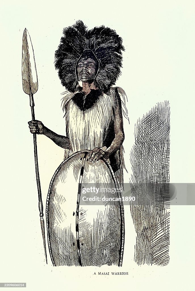 Maasai warrior, armed with broad headed spear and shield, Feather headdress, Victorian 19th Century 1880s