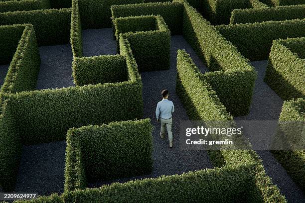 man walking in the maze - maze stock pictures, royalty-free photos & images
