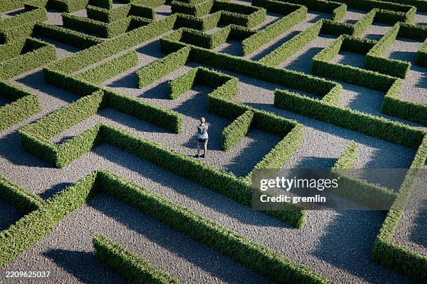 woman standing in maze - labirinto imagens e fotografias de stock
