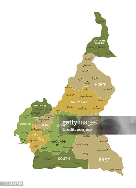 cameroon - vector map. golden green colored map of the cameroon - cameroon city stock illustrations