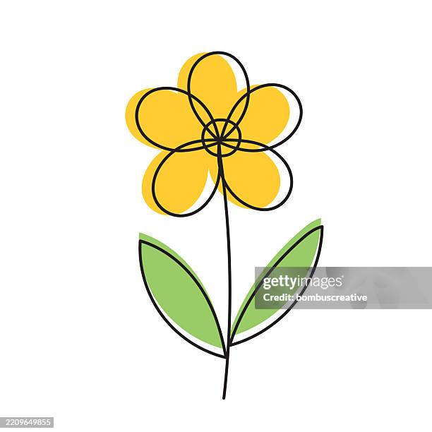 abstract flower background on white background - daisy background stock illustrations