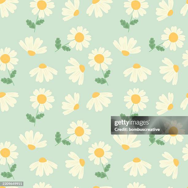 illustrazioni stock, clip art, cartoni animati e icone di tendenza di abstract flowers pattern background - famiglia delle margherite