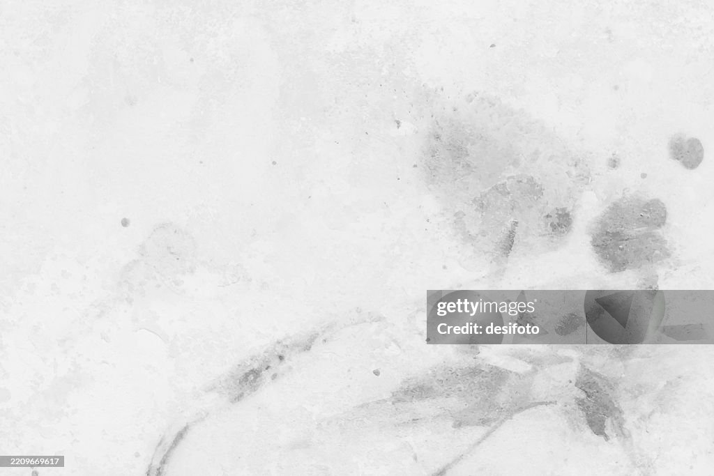 Blank empty textured rough rustic scuffed light grey white messy dirty blotched mottled horizontal vector background with wet damp blotches blobs of fungus mold or shoe polish on cemented plastered run down weathered whitewashed stucco wall