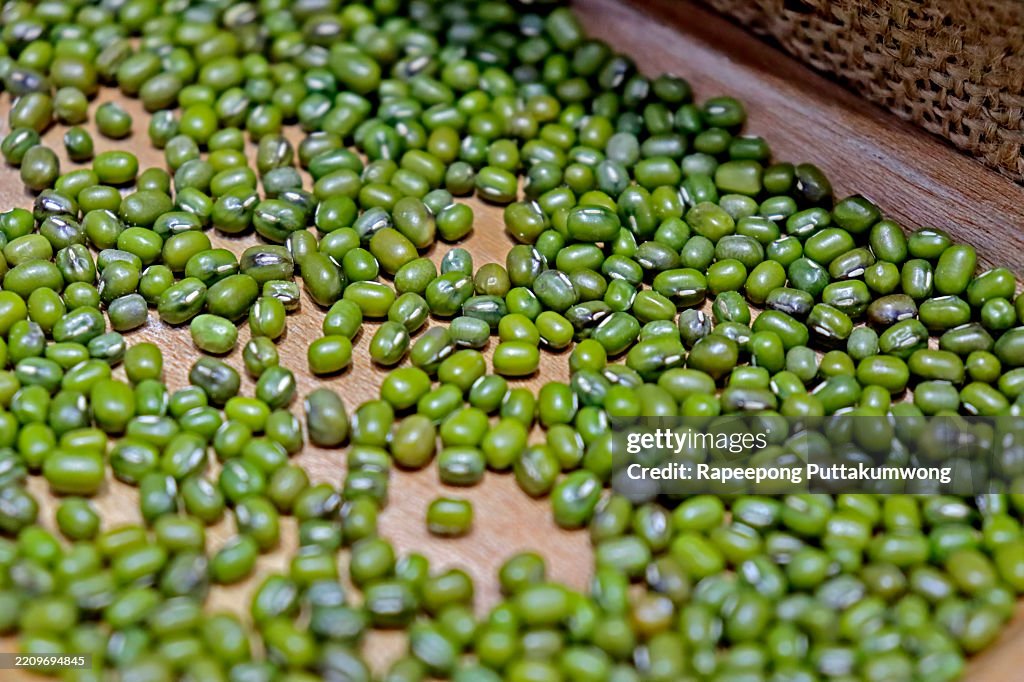 Dry organic green mung bean background after harvested from the farm, ready for healthy food ingredient. Concept of agricultural product or carbohydrate food type