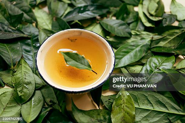 traditional bowl of vietnamese tea brewed from fresh green tea leaves - fitoterapia imagens e fotografias de stock