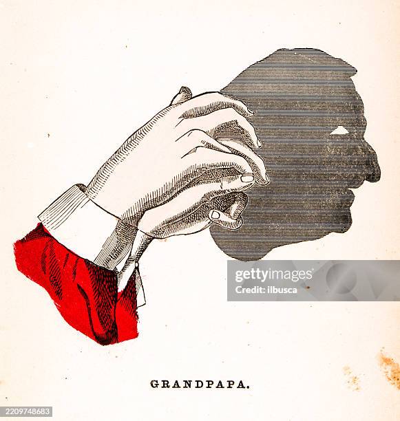 antique color illustration from children's book (1868), shadow puppetry - shadow puppet stock illustrations