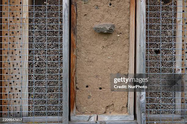 Detailed insect hotel is in Gauting, Starnberg, Bavaria, Upper Bavaria, Germany, on April 15, 2025 .
