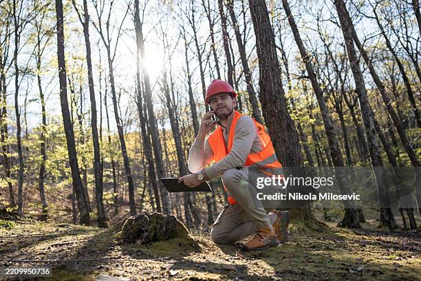 environmental worker conducting field inspections in a scenic forest setting - environmentalist stock pictures, royalty-free photos & images