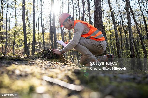 forest surveyor conducting ecological assessment in bright woodland - biodiversity stock pictures, royalty-free photos & images