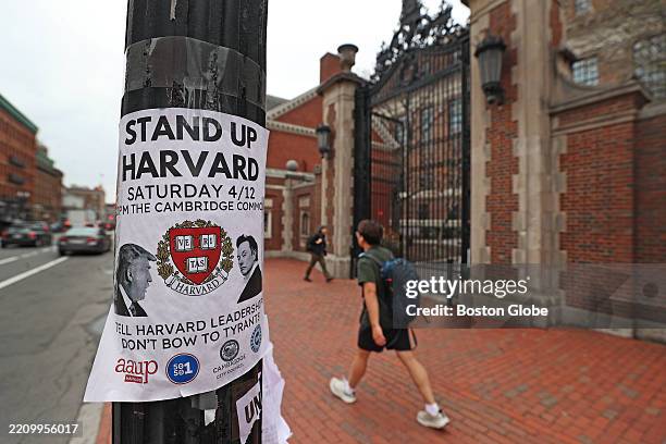 Cambridge, MA A poster for a protest on a telephone pole at Harvard University.