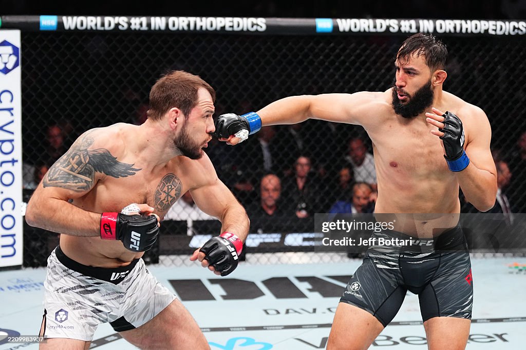 V Reyes Dominick Reyes punches Nikita Krylov of Ukraine in a light... News ...