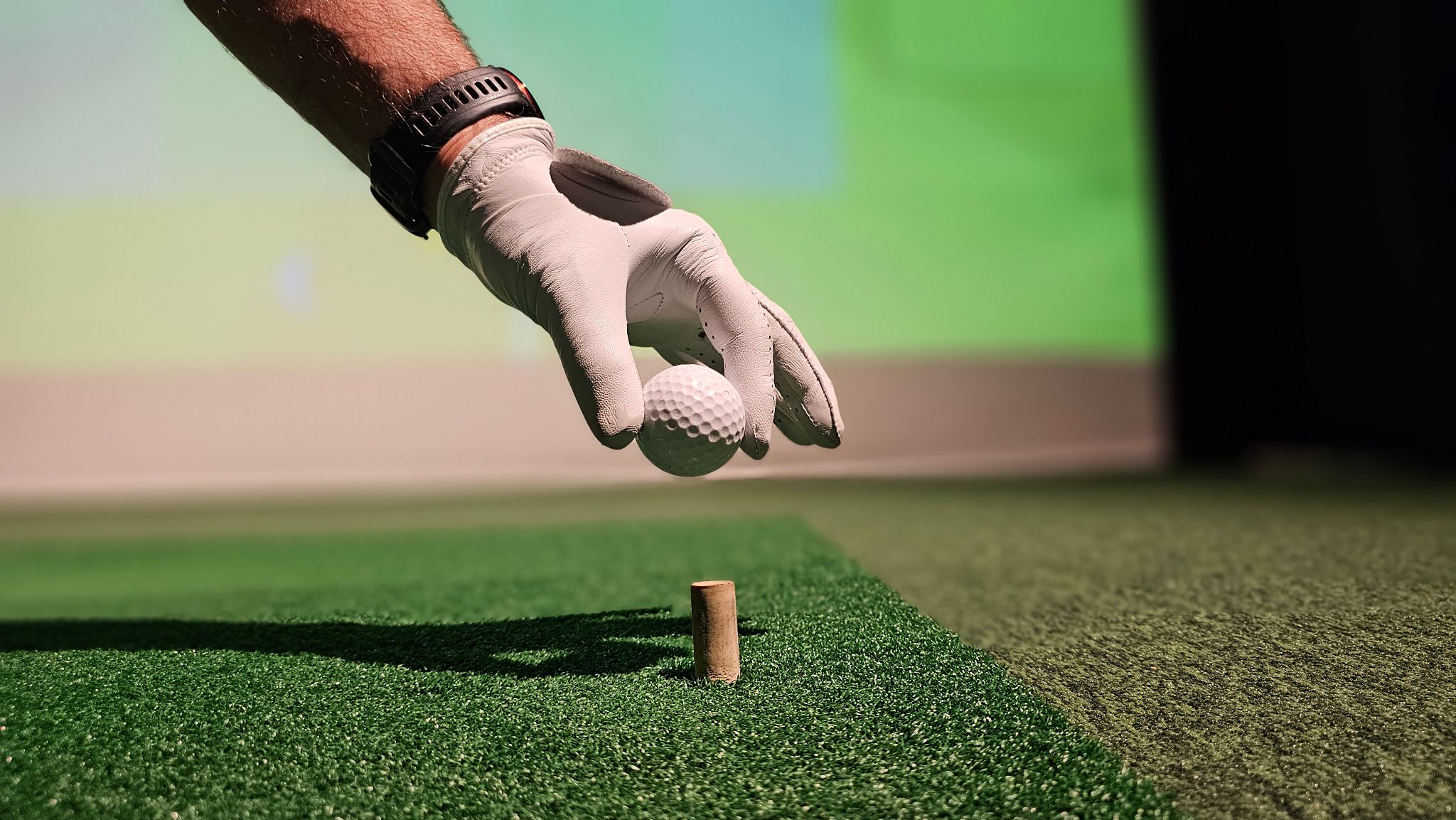 golf simulator setup